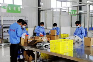 電商筑夢，振興鄉村 徽縣電子商務平臺開發運營助力脫貧攻堅