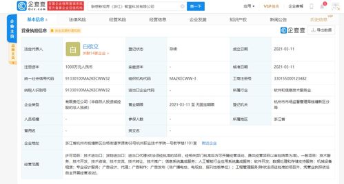 信息系統集成服務的全面解析